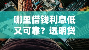 哪里借钱利息低又可靠？透明贷款平台实测对比