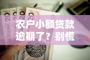 农户小额贷款逾期了？别慌！这几个补救办法值得试试