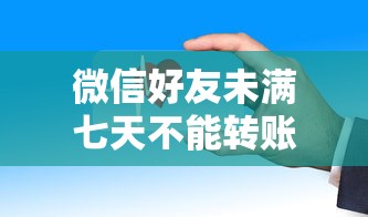 微信好友未满七天不能转账吗？贷款前必看的转账规则