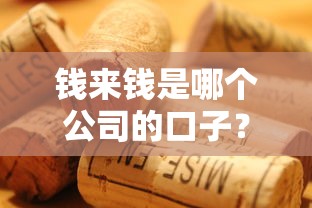 钱来钱是哪个公司的口子？实测分析这口子到底靠不靠谱