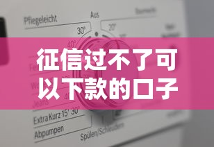征信过不了可以下款的口子2025？真实测评这5个新平台！