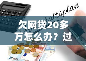 欠网贷20多万怎么办？过来人总结5步自救指南