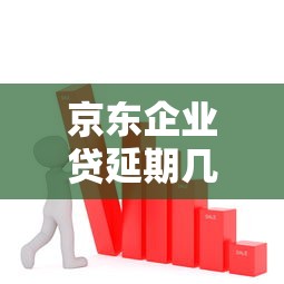 京东企业贷延期几天？企业主必看的还款方案解析