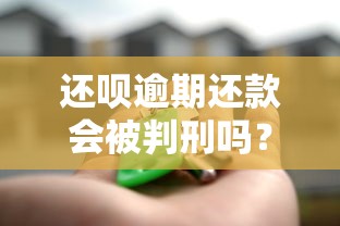 还呗逾期还款会被判刑吗？逾期多久可能被起诉？真实案例解析