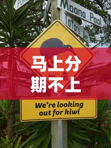 马上分期不上征信吗？实测后发现这些隐藏细节