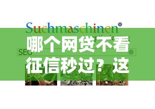 哪个网贷不看征信秒过？这3家门槛低到离谱！