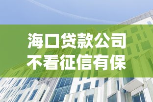 海口贷款公司不看征信有保障吗y？真实情况大揭秘！