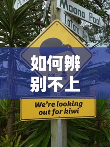 如何辨别不上征信的网贷？这5个细节要盯紧