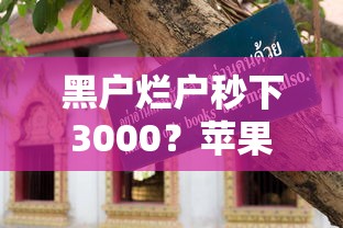 黑户烂户秒下3000？苹果ID贷审核技巧+避坑指南