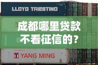 成都哪里贷款不看征信的？这几家渠道或许能帮到你！