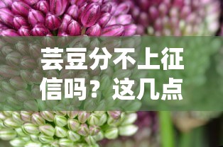 芸豆分不上征信吗？这几点必须知道