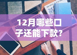 12月哪些口子还能下款？这5个平台放款稳、审核快