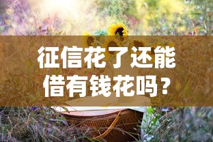 征信花了还能借有钱花吗？3个方法+实测平台推荐