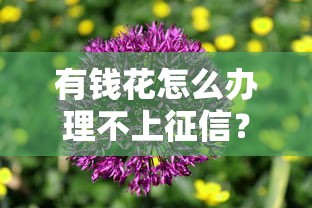 有钱花怎么办理不上征信？手把手教你避坑指南！