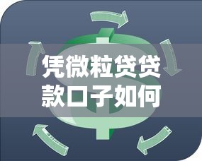 凭微粒贷贷款口子如何快速解决资金周转难题