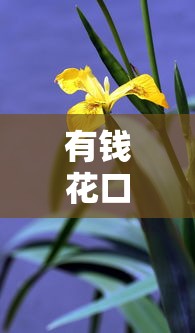 有钱花口子在哪里找到？这几个渠道靠谱又省心