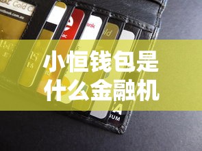 小恒钱包是什么金融机构？贷款服务靠谱吗一文说清