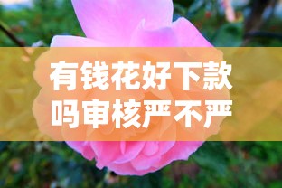 有钱花好下款吗审核严不严？用户实测+审核避坑攻略分享