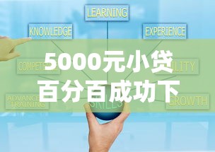 5000元小贷百分百成功下款：真实经验分享与避坑指南