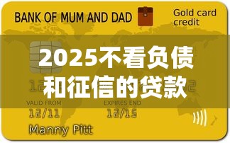 2025不看负债和征信的贷款靠谱吗？真实体验告诉你答案