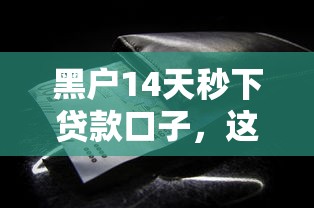 黑户14天秒下贷款口子，这些办法真的能解决难题吗？