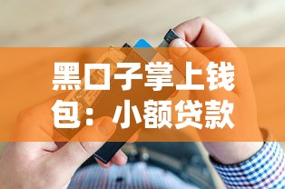 黑口子掌上钱包：小额贷款怎么选？这几点要注意！