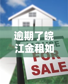 逾期了皖江金租如何处理？贷款逾期补救指南