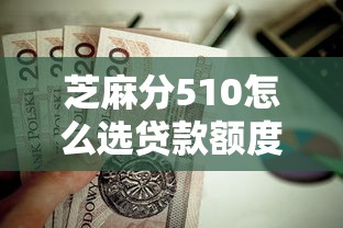 芝麻分510怎么选贷款额度？额度计算全攻略