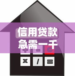 信用贷款急需一千元？这5个方法教你快速借到资金