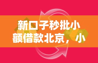 新口子秒批小额借款北京，小额资金需求如何快速解决？
