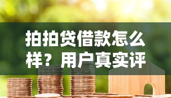 拍拍贷借款怎么样？用户真实评价+申请流程详解