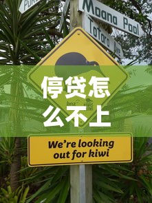 停贷怎么不上征信了呢？原来这些情况可以协商！