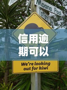 信用逾期可以不上征信吗？这几种情况或许能补救
