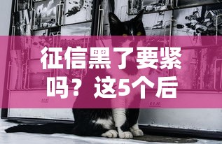 哪个网贷不看征信下款快随借还的？这几个平台或许能帮你