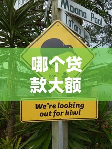 哪个贷款大额不上征信？5个正规渠道实测解析