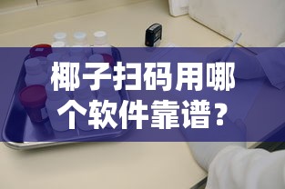 椰子扫码用哪个软件靠谱？这些正规贷款平台审核快门槛低