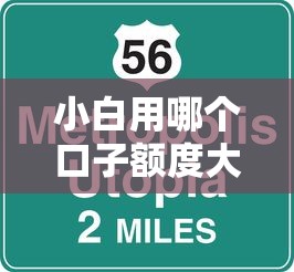 小白用哪个口子额度大？新手必看的低门槛高额度平台推荐
