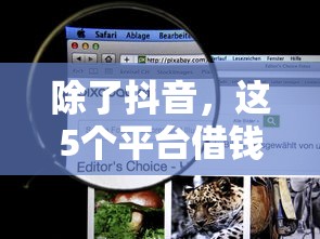 除了抖音，这5个平台借钱更省心！