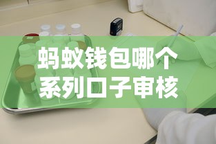蚂蚁钱包哪个系列口子审核快？实测3种靠谱渠道