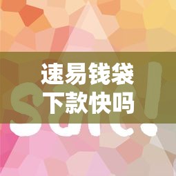 速易钱袋下款快吗？实测结果+真实用户反馈告诉你答案！