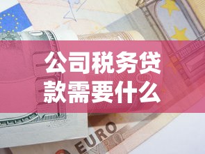 公司税务贷款需要什么条件？这5个要求必须达标