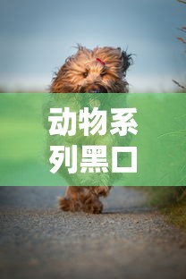 动物系列黑口子:这几个平台门槛低放款快靠谱吗? 动物系列黑口子:这几个平台门槛低放款快靠谱吗?
