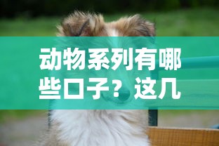 动物系列有哪些口子？这几个平台靠谱又好用！