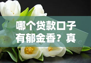 哪个贷款口子有郁金香？真实测评+避坑指南