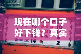 现在哪个口子好下钱？真实测评+5个靠谱平台实测对比