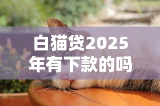 白猫贷2025年有下款的吗？真实用户实测反馈
