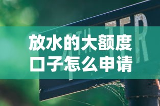 放水的大额度口子怎么申请？这5个方法亲测有效