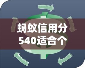 蚂蚁信用分540适合个体户借款的平台有哪些？