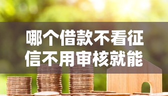 哪个借款不看征信不用审核就能借到钱？真实情况解析