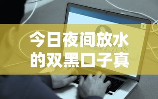 今日夜间放水的双黑口子真实评测：低门槛秒到账平台实测